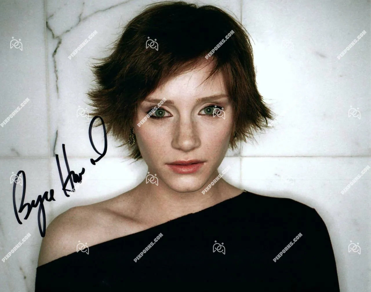 Bryce Dallas Howard autographed landscape artwork – Pose 294 digital download and signed canvas